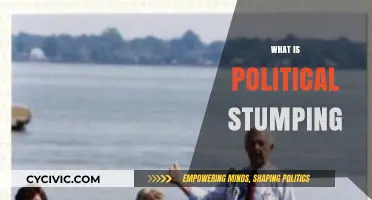 Understanding Political Stumping: Strategies, Impact, and Modern Campaign Techniques