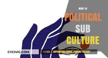 Understanding Political Subcultures: Identity, Beliefs, and Societal Influence Explained