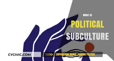Understanding Political Subcultures: Identity, Beliefs, and Societal Influence Explained