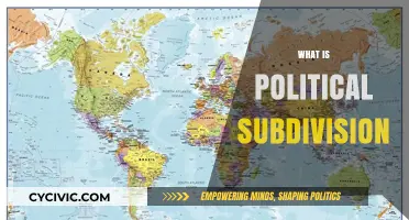 Understanding Political Subdivisions: Structure, Functions, and Local Governance Explained