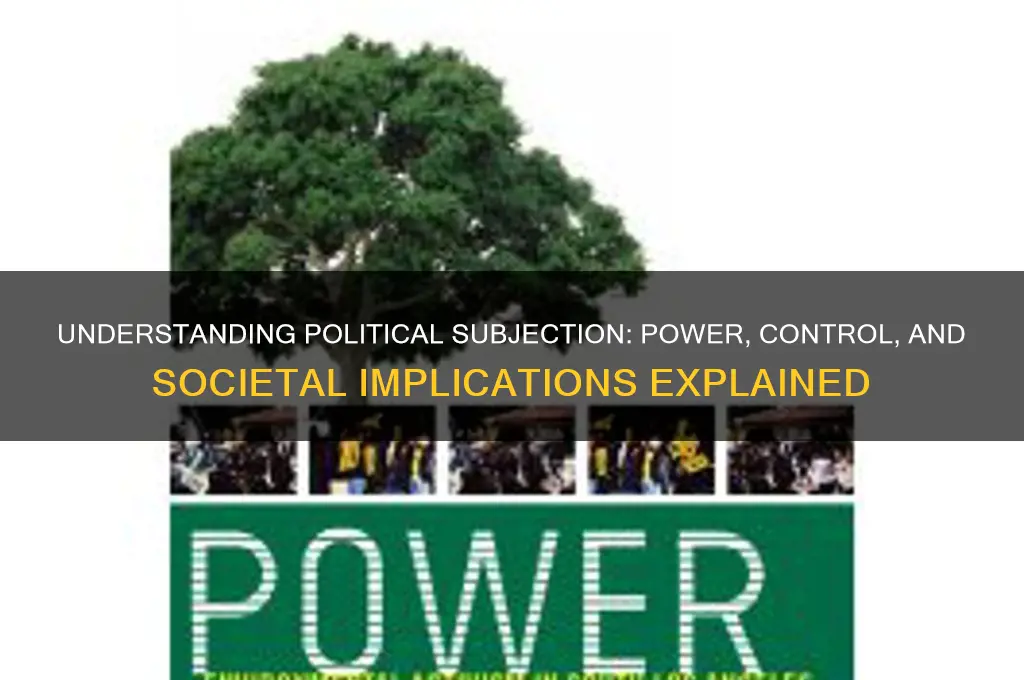 what is political subjection