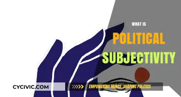 Exploring Political Subjectivity: Identity, Power, and Individual Perspectives in Politics