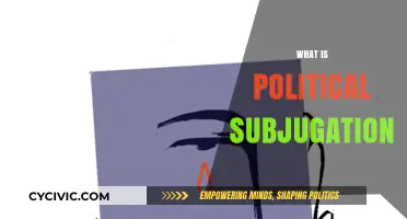 Understanding Political Subjugation: Power Dynamics and Oppression Explained