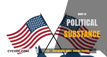 Understanding Political Substance: Core Concepts and Real-World Implications