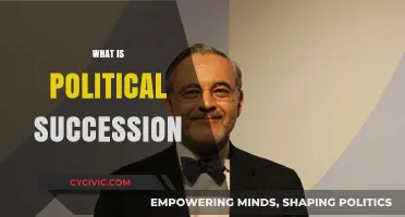 Understanding Political Succession: Power Transition and Leadership Dynamics Explained