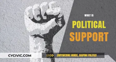 Understanding Political Support: Foundations, Dynamics, and Societal Impact Explained
