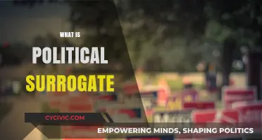 Understanding Political Surrogates: Roles, Influence, and Campaign Strategies
