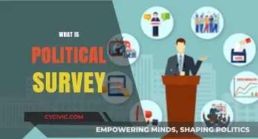 Understanding Political Surveys: Purpose, Methods, and Impact on Democracy