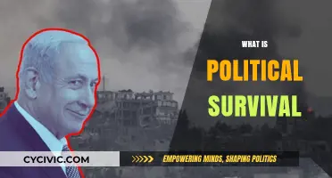 Understanding Political Survival: Strategies, Challenges, and Power Dynamics