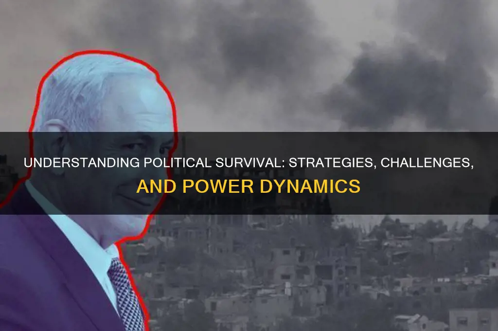 what is political survival