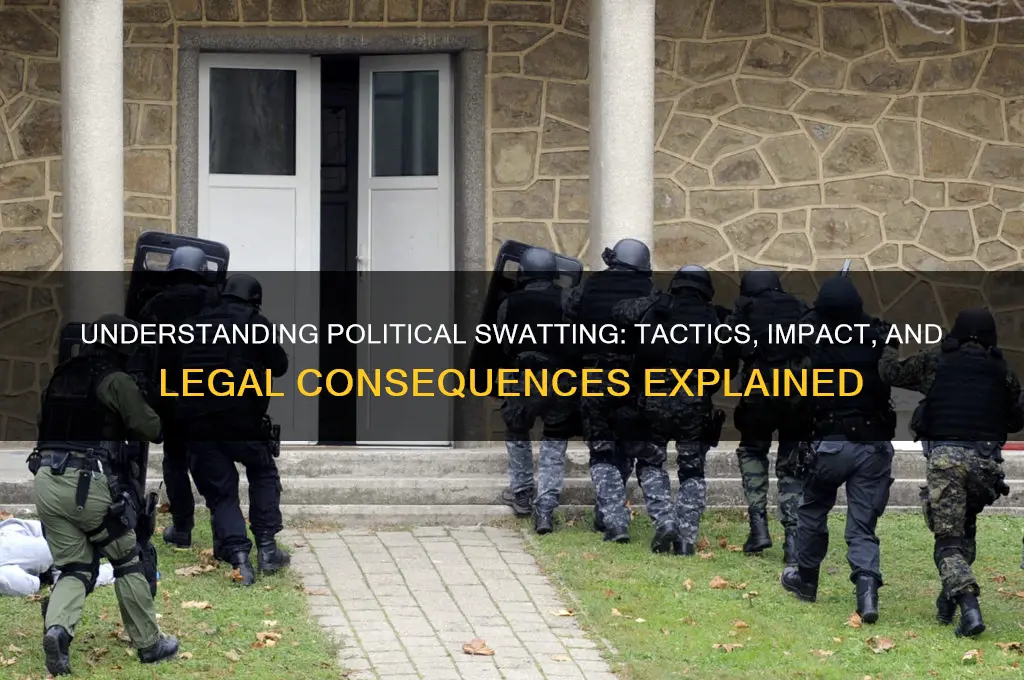 what is political swatting