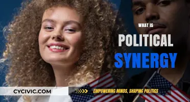 Understanding Political Synergy: Uniting Forces for Effective Governance and Change
