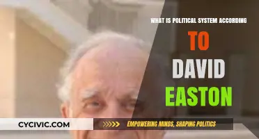 Exploring Political Systems Through David Easton's Lens