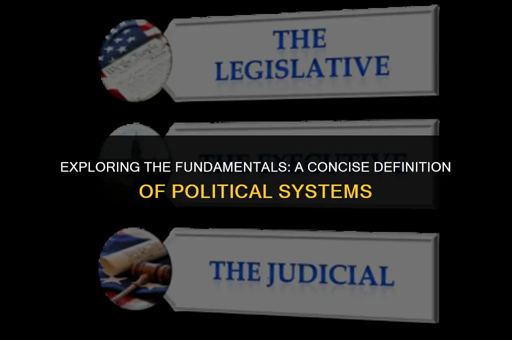 what is political system definition