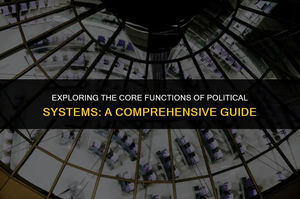 what is political system function