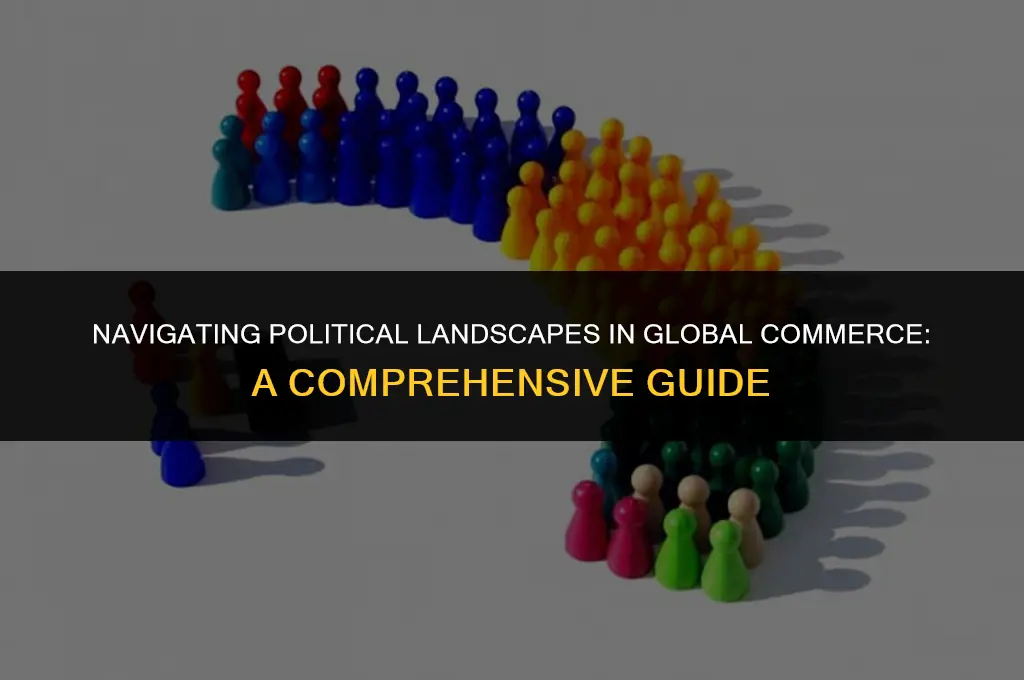 what is political system in international business