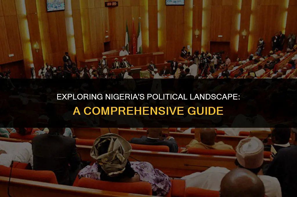 what is political system in nigeria