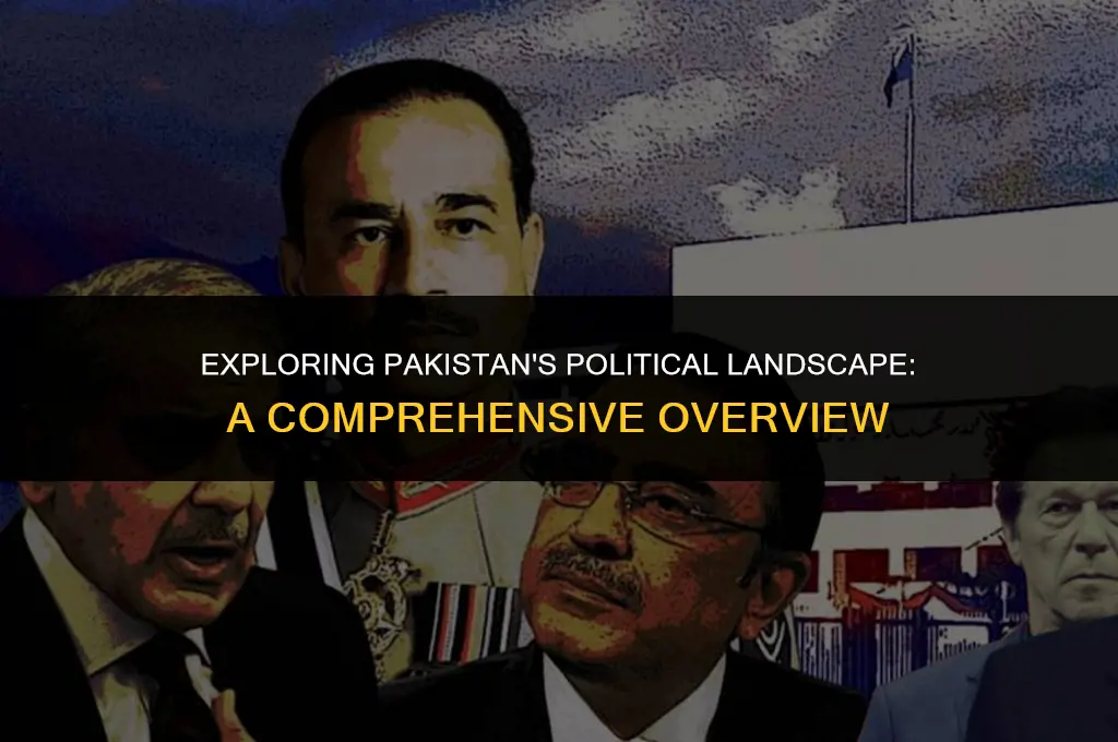 what is political system in pakistan