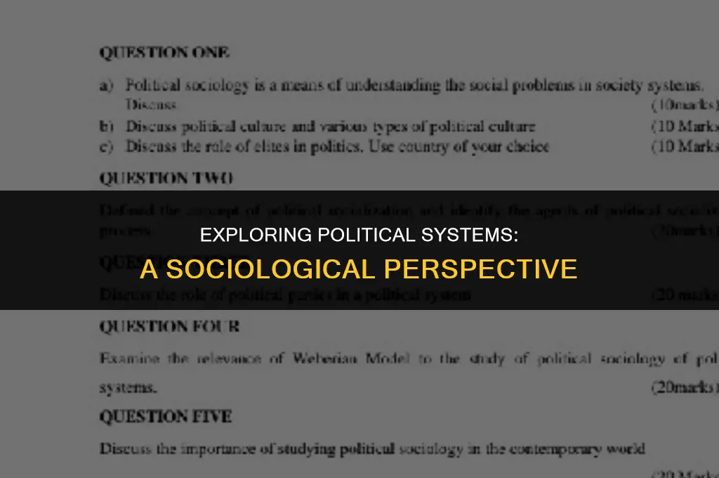 what is political system in sociology