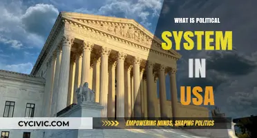 Exploring the Complexities of the US Political System
