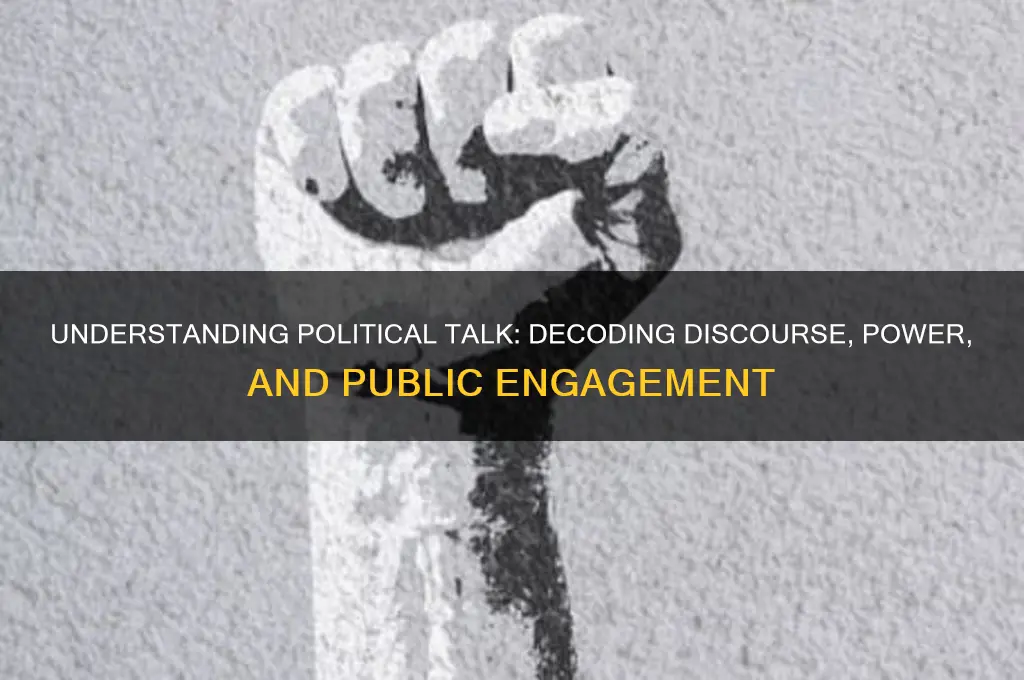 what is political talk