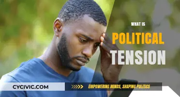 Understanding Political Tension: Causes, Impacts, and Global Implications