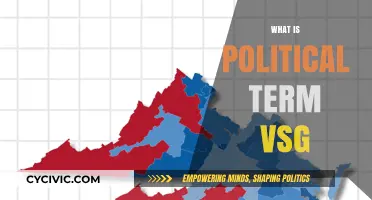 Understanding the Political Term VSG: Meaning, Origins, and Implications