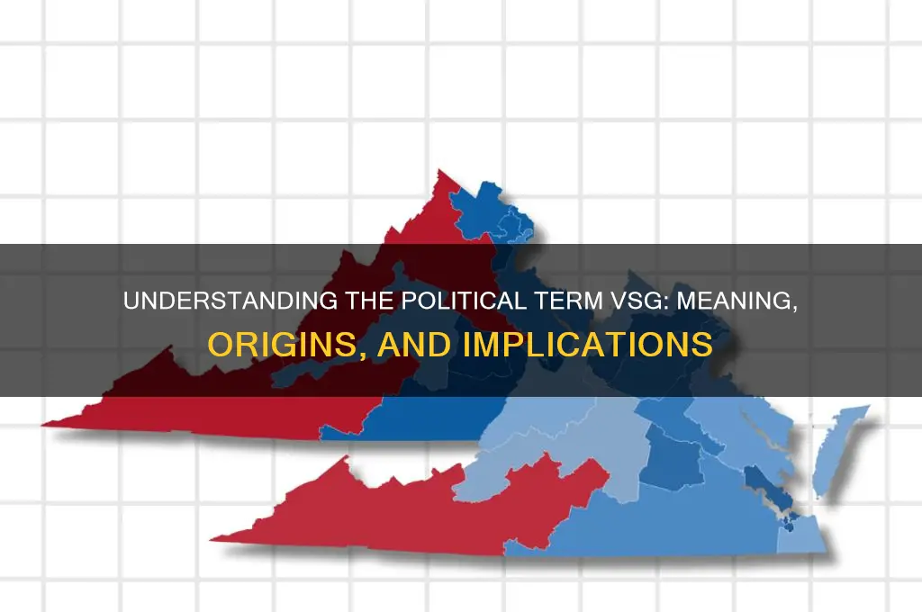 what is political term vsg