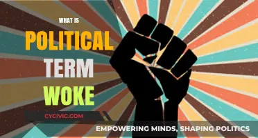 Understanding Woke: Decoding the Political Term and Its Cultural Impact