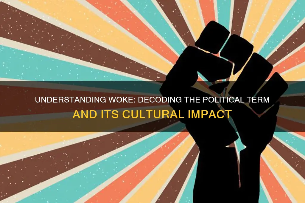 what is political term woke