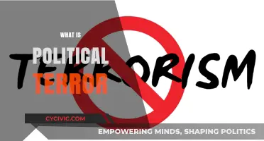 Understanding Political Terror: Causes, Consequences, and Global Implications