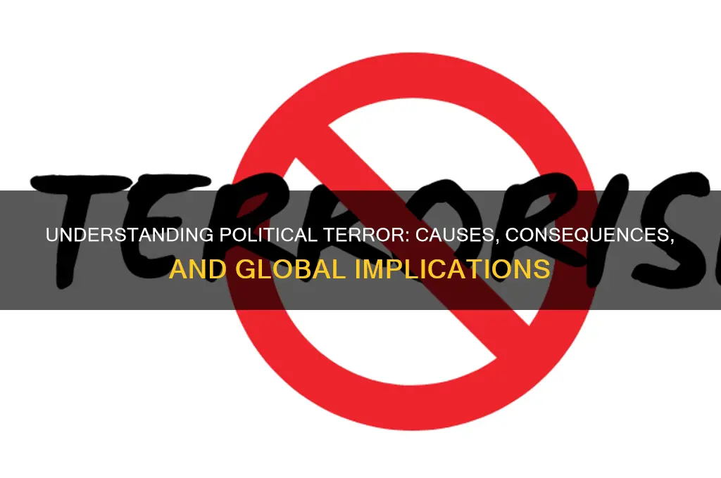 what is political terror