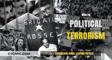 Understanding Political Terrorism: Definitions, Motives, and Global Implications