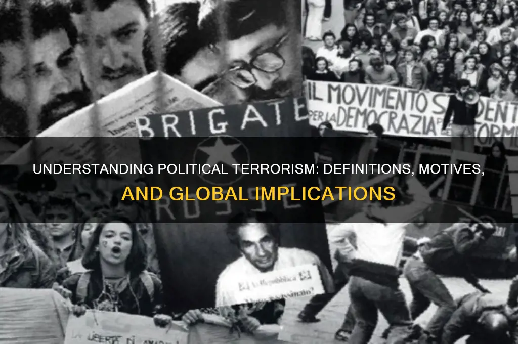 what is political terrorism