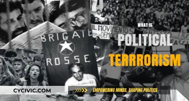Understanding Political Terrorism: Definitions, Motivations, and Global Implications