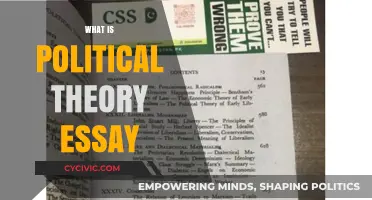 Understanding Political Theory: Crafting a Thoughtful and Insightful Essay