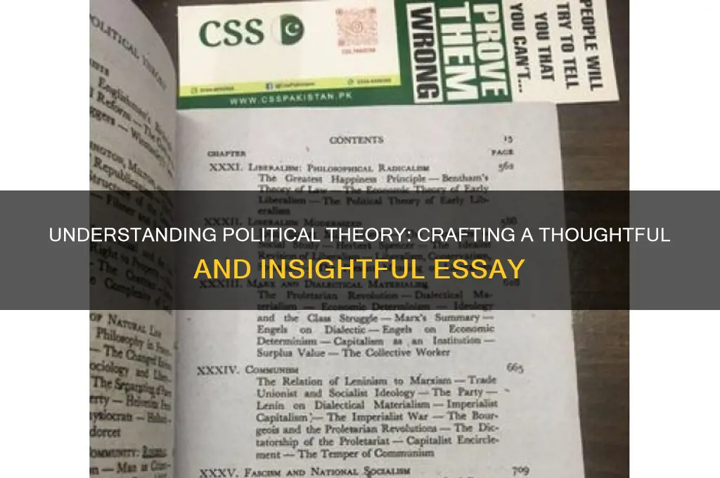 what is political theory essay