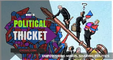 Understanding the Political Thicket: Navigating Complex Legal and Policy Landscapes