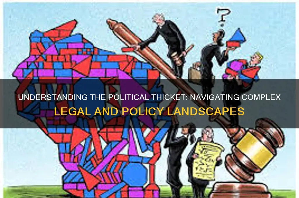 what is political thicket