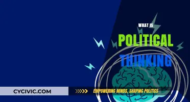 Understanding Political Thinking: Strategies, Ideologies, and Decision-Making Processes
