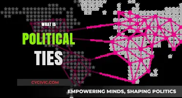 Understanding Political Ties: Networks, Influence, and Global Power Dynamics