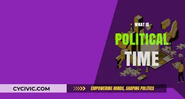 Understanding Political Time: Rhythms, Power, and Decision-Making Dynamics