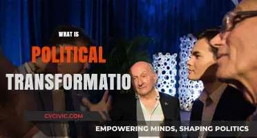 Understanding Political Transformation: Drivers, Processes, and Societal Impacts