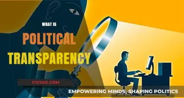 Understanding Political Transparency: Key Principles and Global Impact Explained