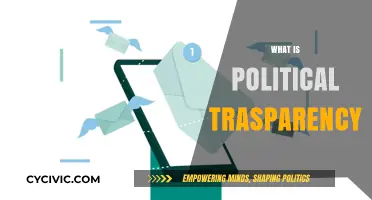 Understanding Political Transparency: Its Importance, Challenges, and Global Impact