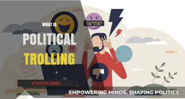 Understanding Political Trolling: Tactics, Impact, and Online Manipulation Explained