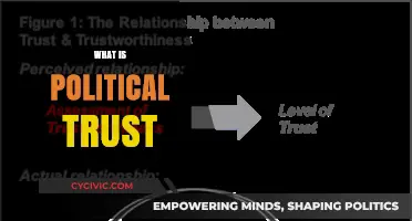 Understanding Political Trust: Foundations, Challenges, and Societal Impact Explained