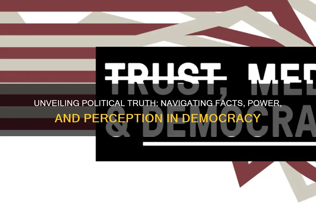 what is political truth
