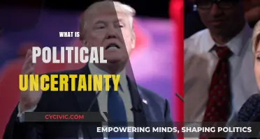 Understanding Political Uncertainty: Causes, Impacts, and Global Implications