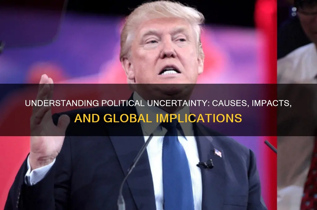 what is political uncertainty